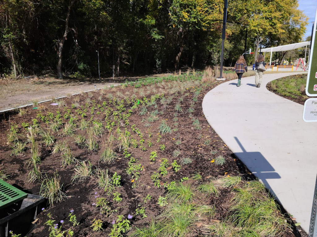 Small plants are planted in a segment of a park that adjoins the sidewalk to help capture rainfall runoff