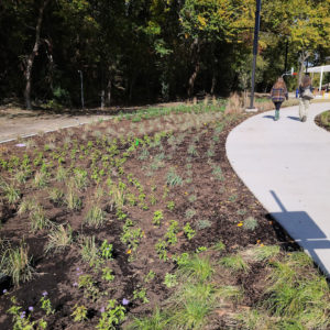 Big city solution: Installing green stormwater infrastructure slows down, cleans up runoff
