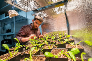 Azlan Zahid and starter plants inside a controlled environment agriculture grow laboratory. 