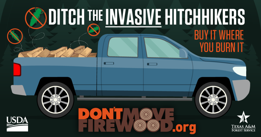 Ditch the Invasive Hitchhikers text above a truck with firewood; Buy it where you burn it text and Don't move firewood.org text