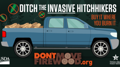 Ditch the Invasive Hitchikers text above a truck with firewood