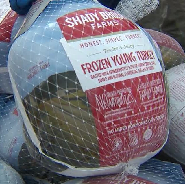 Close-up of frozen young turkey in  grocery case