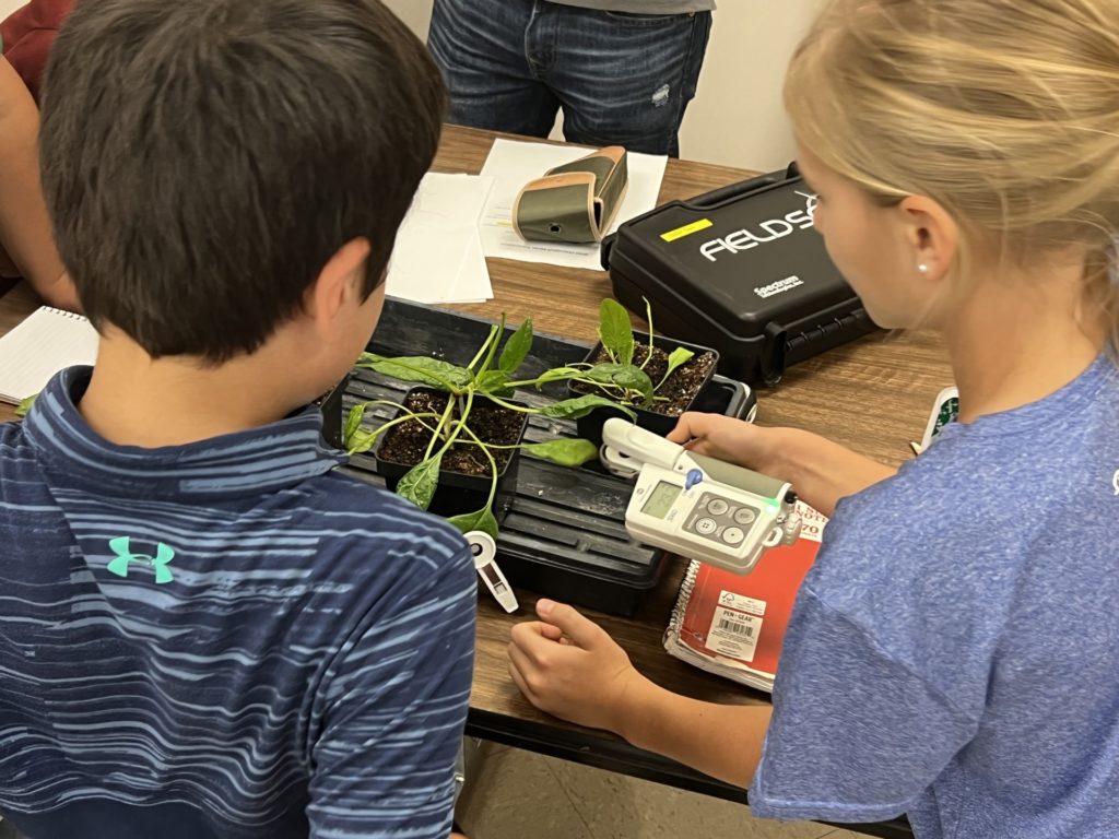 Two students use equipment on a table to conduct an experiment to determine a plant's chlorophyll content.   