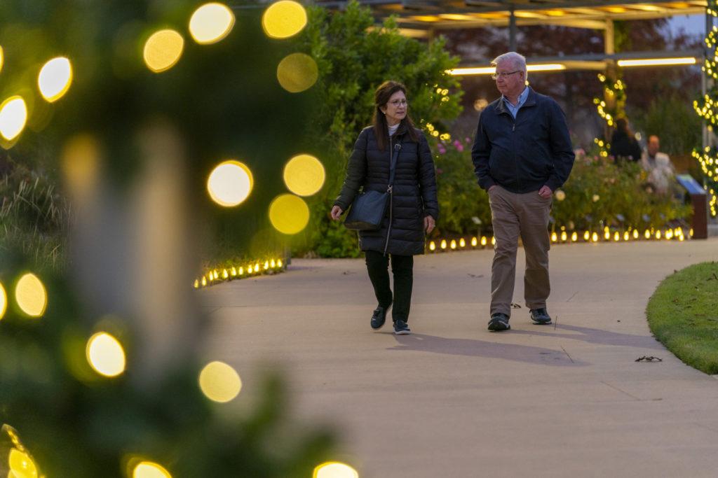 A couple taking a stroll in a lighted path during the holidays