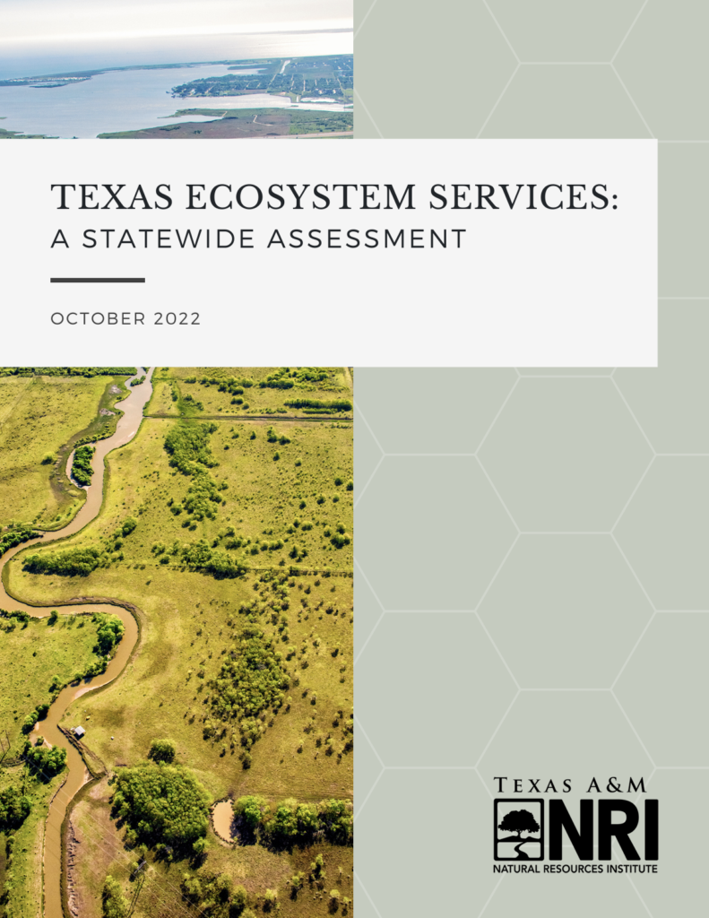 The cover page of Texas Ecosystem Services: A Statewide Assessment featuring an aerial view of a river and the NRI logo. 