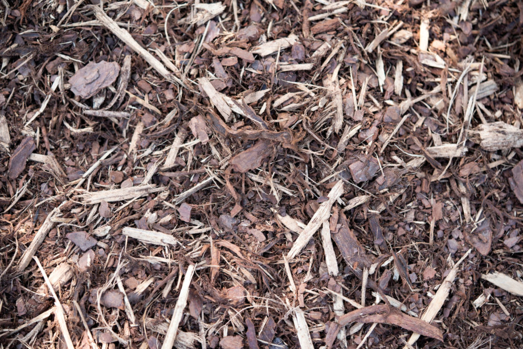 A close up of mulch on the ground, which can be used to protect plant's new growth. Various shades of brown organic material comprise it.