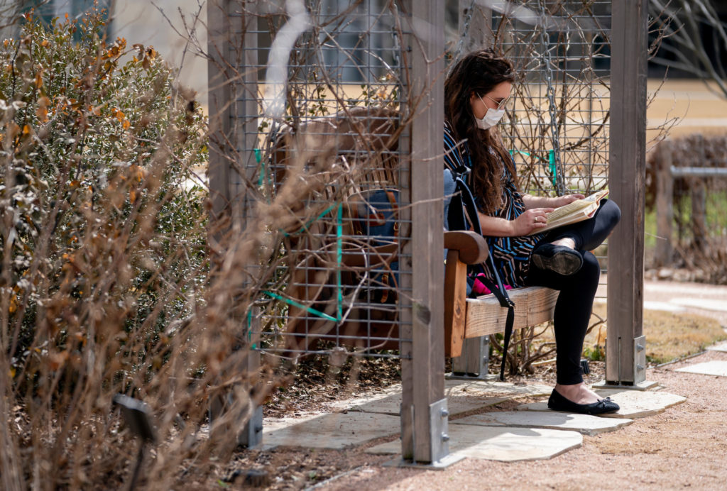 a woman quietly reads a book in a garden atmosphere