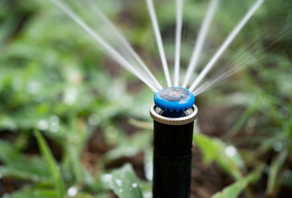 A round sprinkler head shooting water out over a lawn, close up.