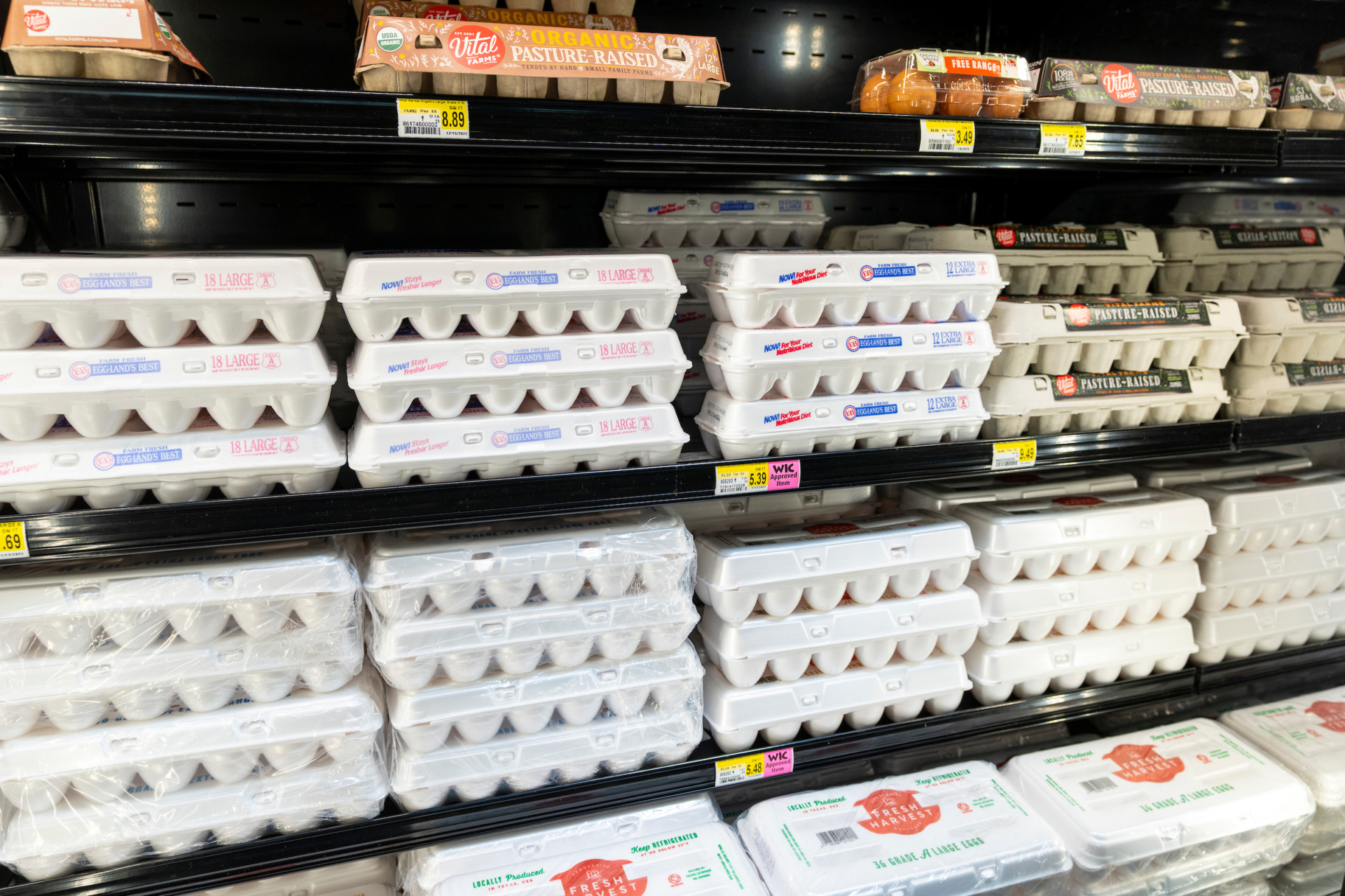 Egg prices are high, could go higher AgriLife Today