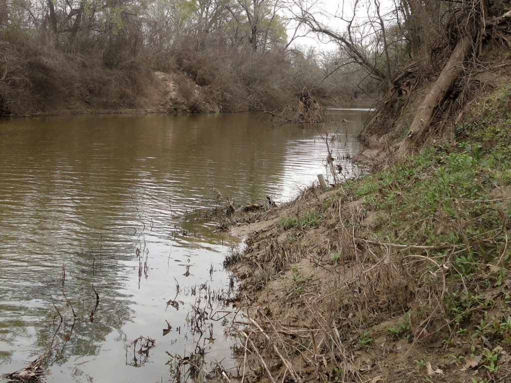 The tree-lined banks of Big Elm Creek