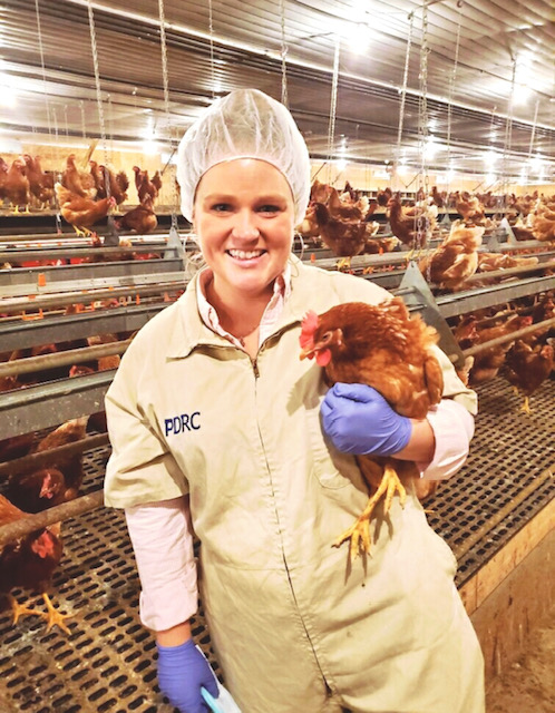 Former poultry science student, Katie Burchfield, DVM, wearing hairnet and coveralls, holding a red hen