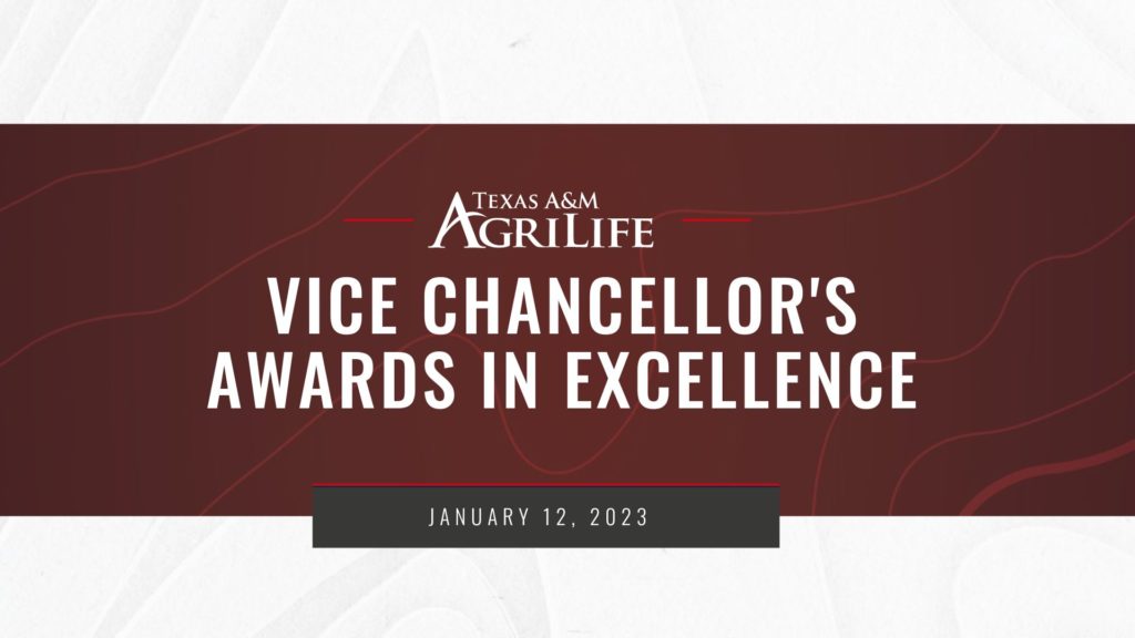 awards slide - states Vice Chancellor's Awards in Excellence Jan. 12, 2023