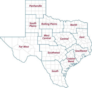 A Texas map with the 12 regions of the state designated