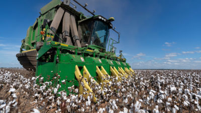 A large green cotton harvester in a cotton field with open bills against a blue sky.
