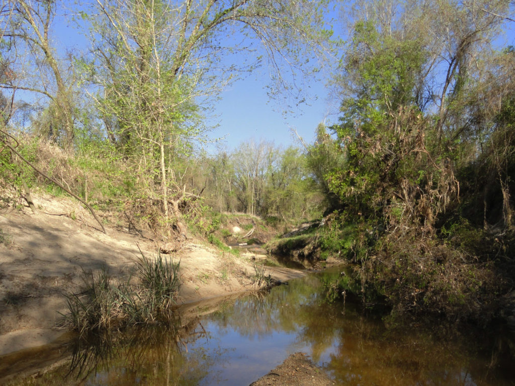 Carters Creek fluye a través de un área ribereña que influye en la calidad del agua