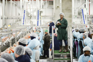 Alicia Walker, Ph.D., stands on a raised platform to conduct an audit at a poultry processing facility.