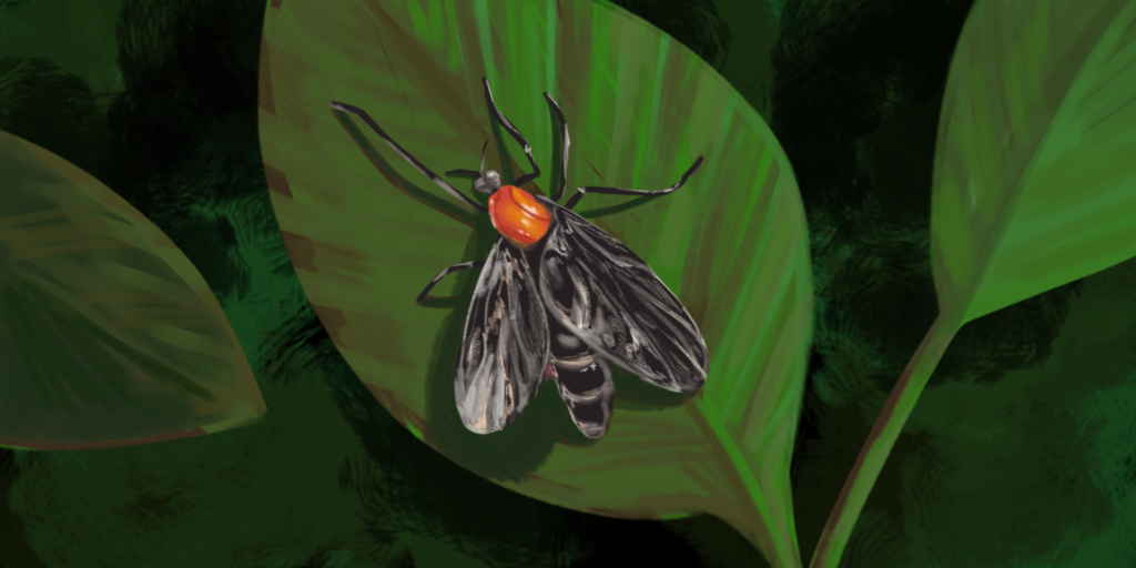 Illustration of a lovebug on a leaf
