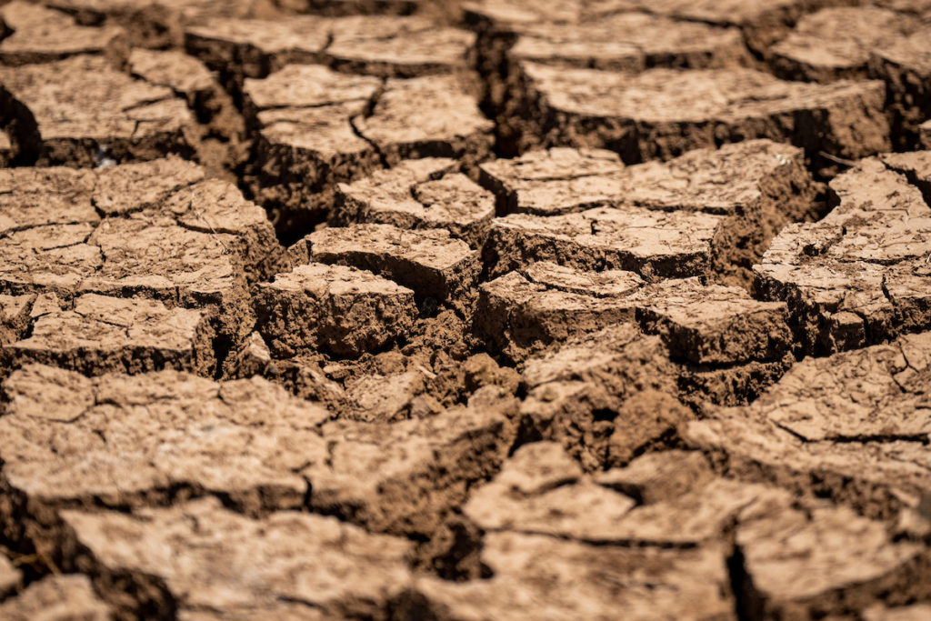 A close up of drought stricken earth. The brown land is cracked deeply.