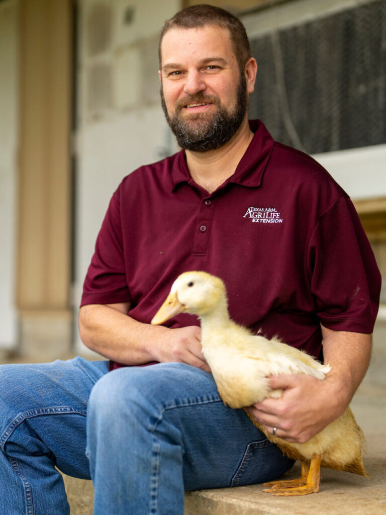 Greg Archer, Ph.D., sostiene un pato amarillo criado para carne y huevos.