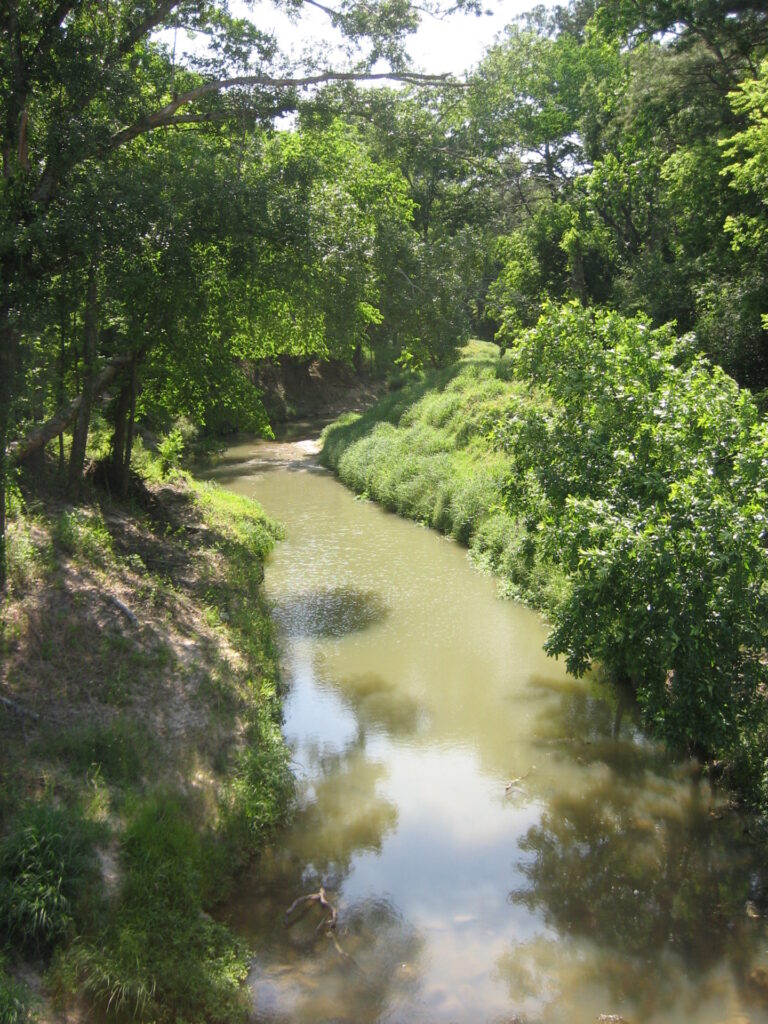 green water in a river with heavy green trees and foliage-lined banks