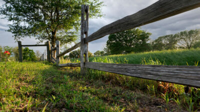 A wooden fence running alongside a green pasture. A tree is in the background.