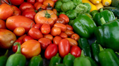 Fresh vegetables on a table including red tomatoes, green tomatoes and green peppers.