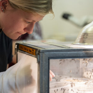 A researcher is examining a container filled with specimens. 