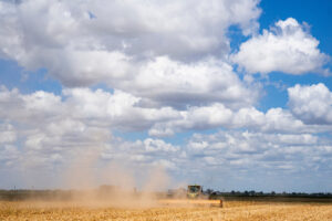 A tractor cuts corn stalk stubble and creates a cloud of dust as it passes. 