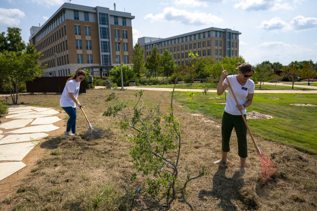 Kathryn Grier assits a student in raking a green space a The Gardens at Texas A&M. 