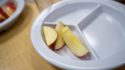 A white plastic plate with divided compartments. Only a few slices of a red apple are on the plate in one compartment with the other two empty.