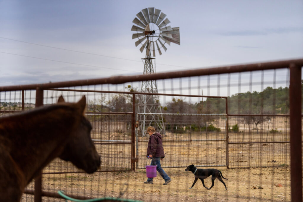 Una ranchera que lleva un balde es seguida por un perro mientras un caballo observa.  Hay un molino de viento en el fondo.