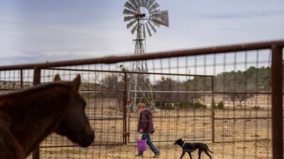 A female rancher carrying a bucket is followed by a dog while a horse looks on. There is a windmill in the background.