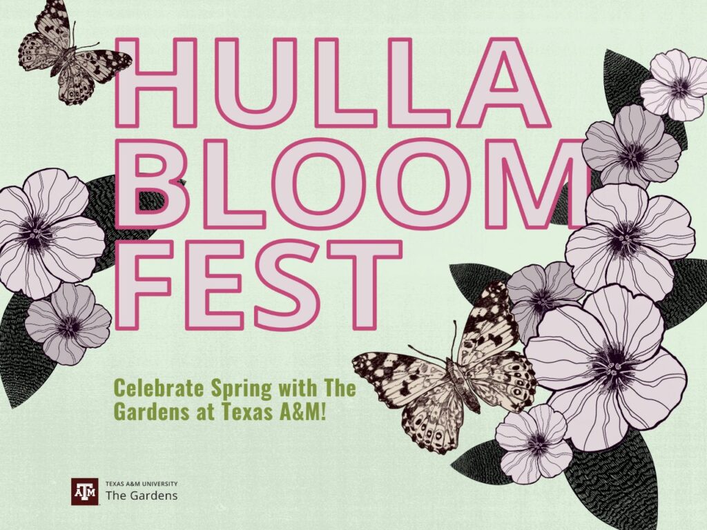 Hullabloom Fest graphic logo that also says Celebrate Spring with The Gardens at Texas A&M and includes a logo and butterflies and flowers