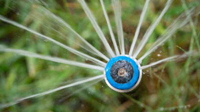 The top view of a blue sprinkler head shooting out water in a half-circle at the Gardens at Texas A&M