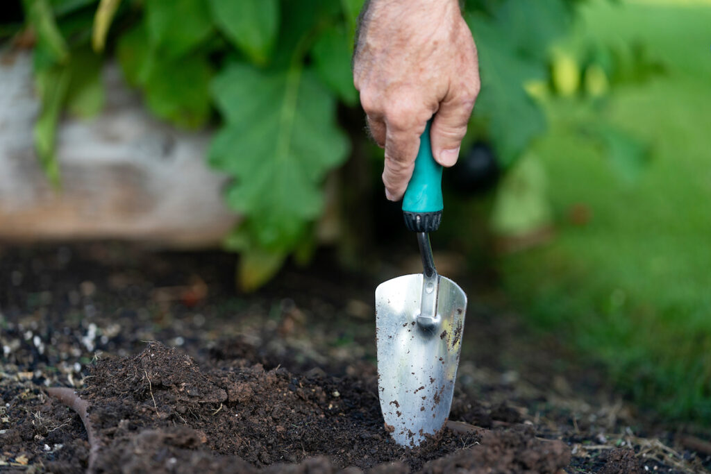 A trowel with a blue handle is about to be put into dark, rich soil