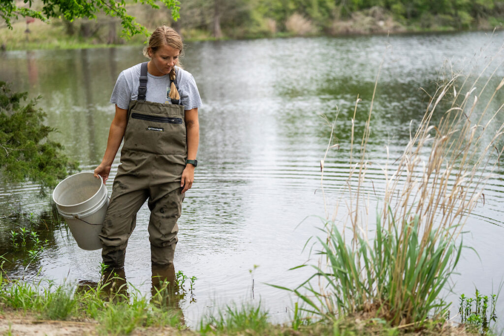 A young woman wearing waders and holding a bucket stands at the edge of a pond. Farm pond management is important for both livestock and aquaculture.