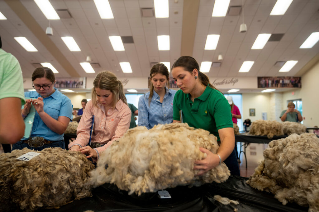 4-Hers appear to be feeling wool samples as a part of the State 4-H Roundup competition.