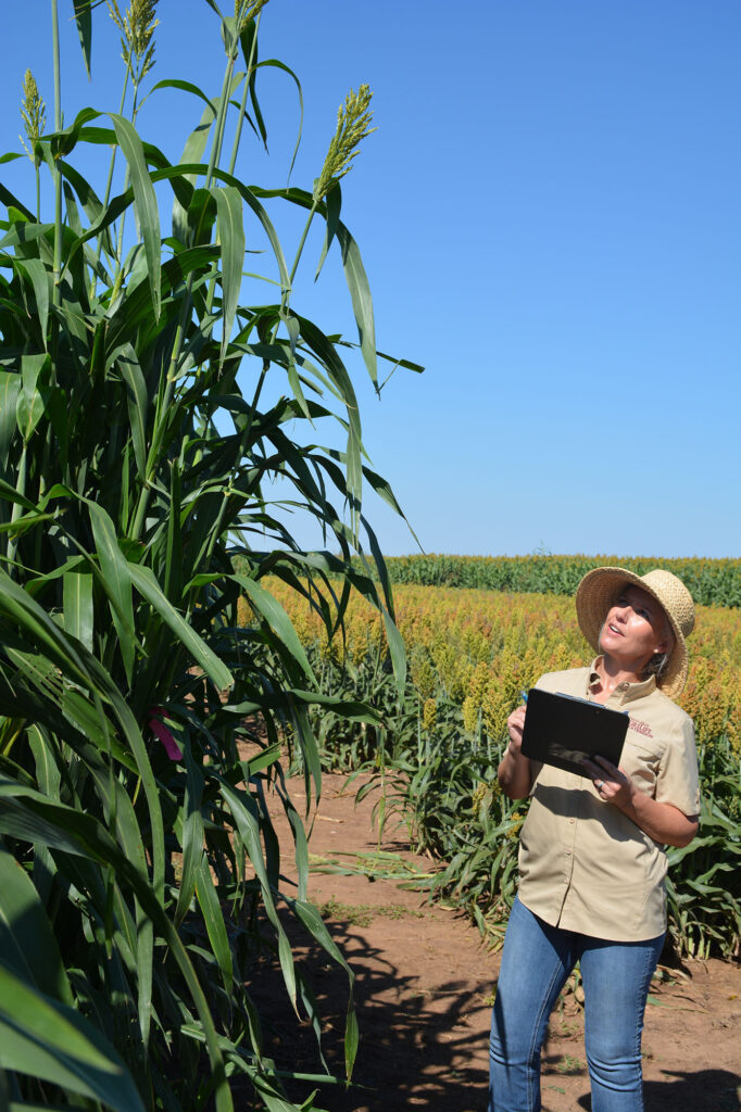 Jourdan Bell takes notes on a forage sorghum variety.