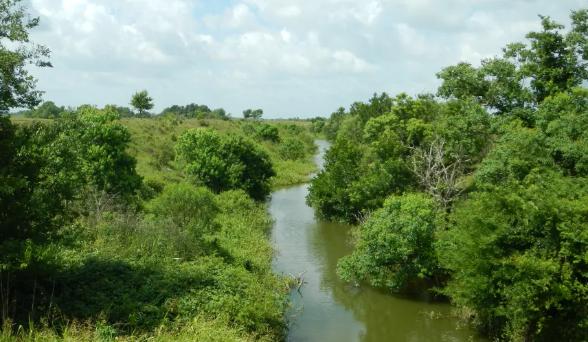 Una pequeña corriente de agua, el Double Bayou, fluye a través de densos árboles y arbustos cerca de Wallisville.