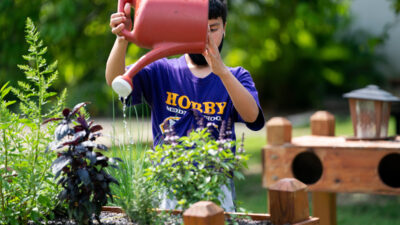 A student who is part of the Junior Master Gardener school program holds a red watering can, watering plants in a raised bed.