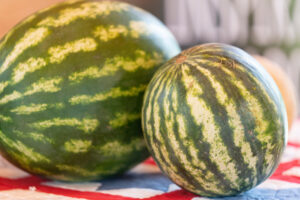 Two striped green and yellow watermelons on a table