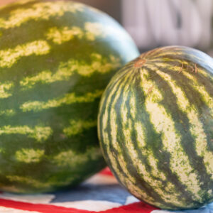 Watermelon production yields up, quality down