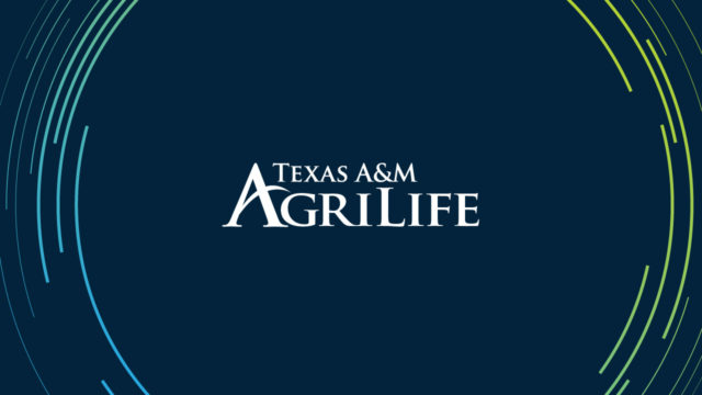 Un gráfico azul con las palabras Texas A&M AgriLife en el centro