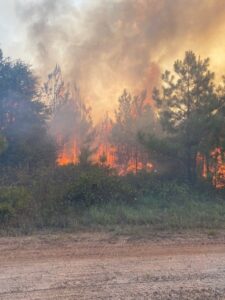 A wildfire burning in a forest with green trees and grass in front of it. As wildfire danger for much of the state increases, Texas A&M Forest Service urges Texans to be cautious with outdoor activities that create sparks.