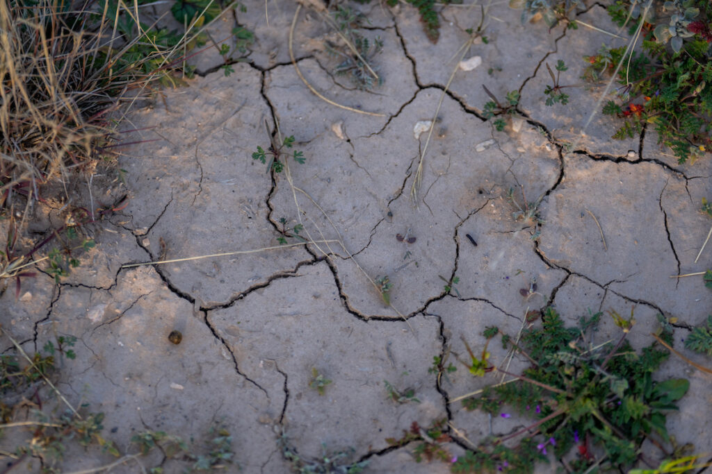 Dry, cracked ground in West Texas, an indicator of the ongoing drought and extreme heat conditions that can impact water well owners across the state.