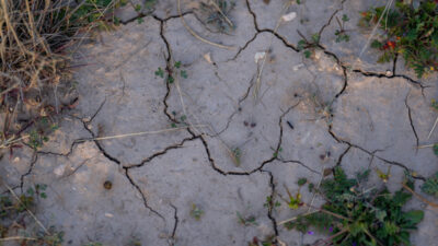 Dry, cracked ground in West Texas, an indicator of the ongoing drought conditions.