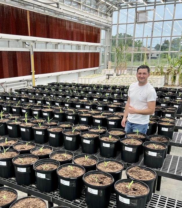 Alper Adak, Ph.D., stands in a greenhouse surrounded by tables with young plants as part of his high-throughput phenotyping research.