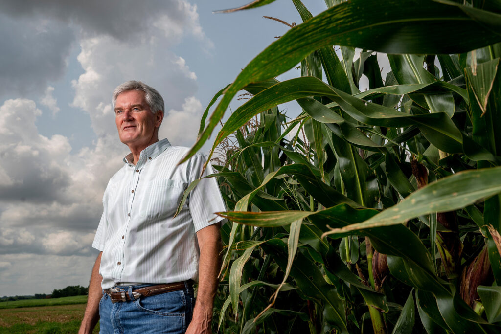 Bob Whitney se para en un campo de maíz orgánico