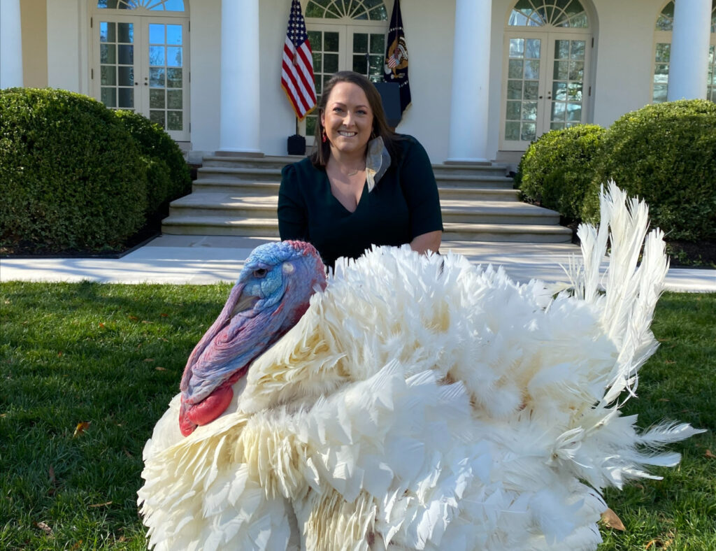 Un gran pavo blanco está al frente mientras que Leslee Oden se arrodilla detrás de él en el césped de la Casa Blanca.
