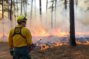 Texas A&M Forest Service personnel overseeing prescribed burn area. Grant applications for prescribed fire are now available. 